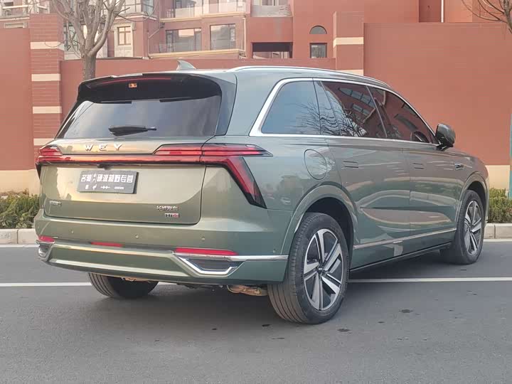 Фото 9 - Wey Lanshan