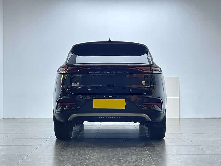 Фото 4 - BYD Tang Hybrid/EV