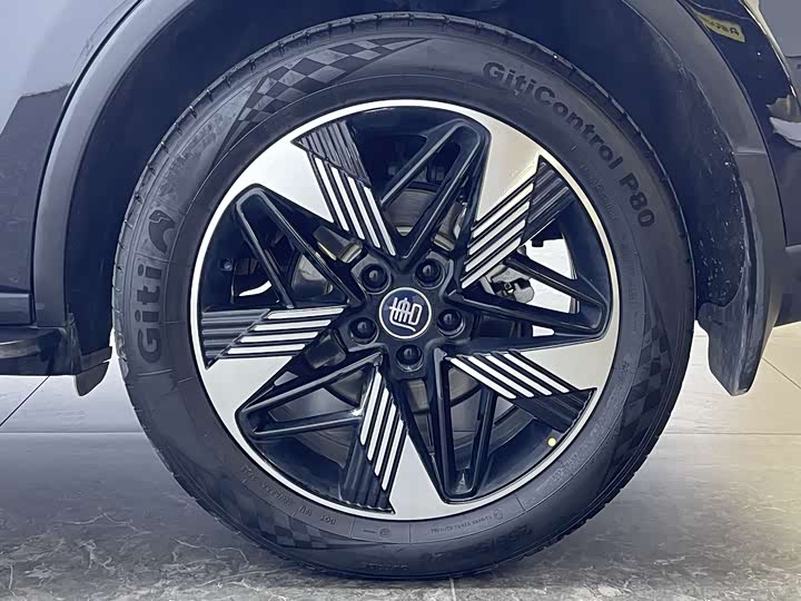 Фото 7 - BYD Tang Hybrid/EV