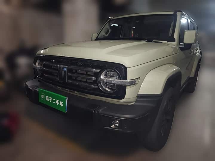 Фото 1 - Tank 300