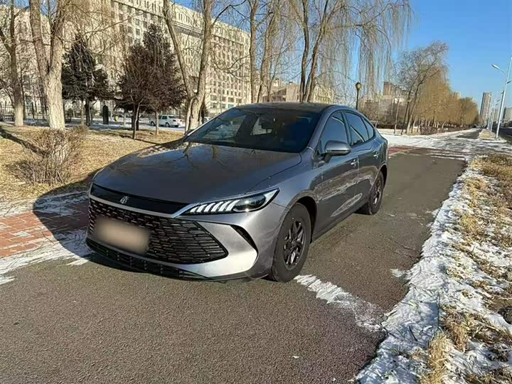 Фото 2 - BYD Qin Plus