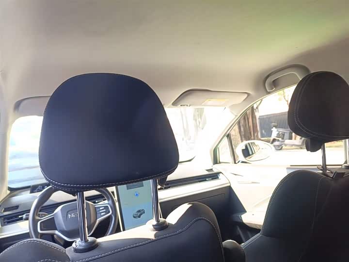 Фото 9 - Hozon V