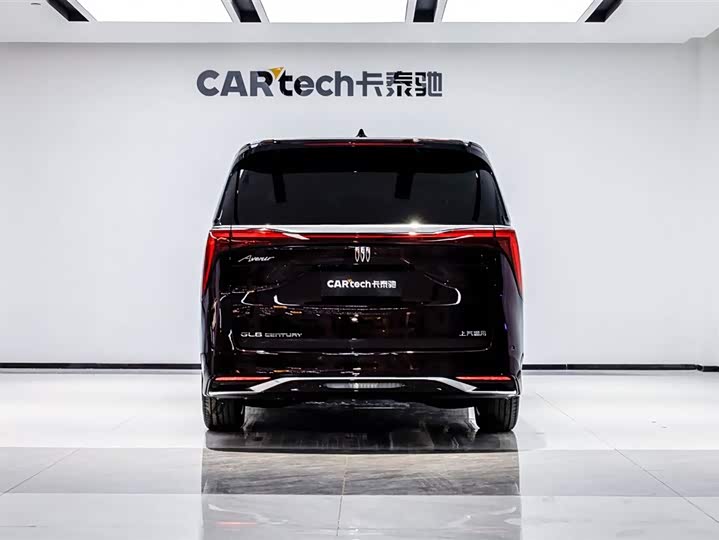 Фото 5 - Buick GL8 Century