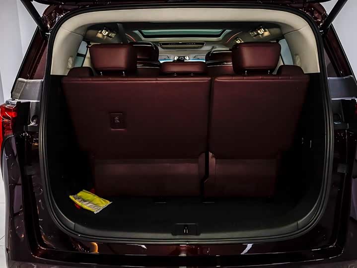 Фото 6 - Buick GL8 Century