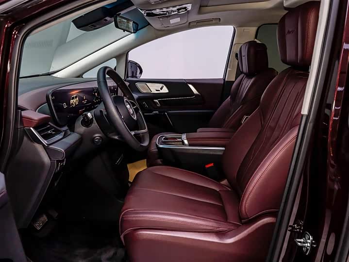 Фото 9 - Buick GL8 Century