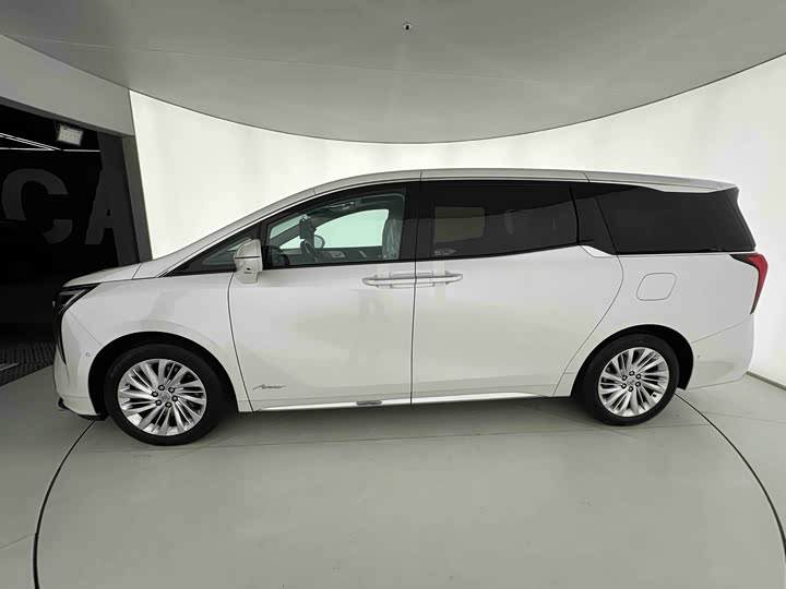 Фото 3 - Buick GL8 Century