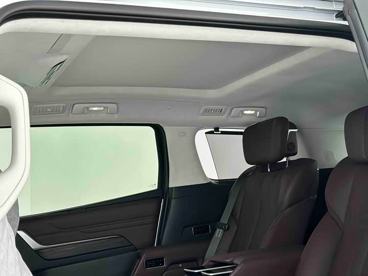 Фото 5 - Buick GL8 Century