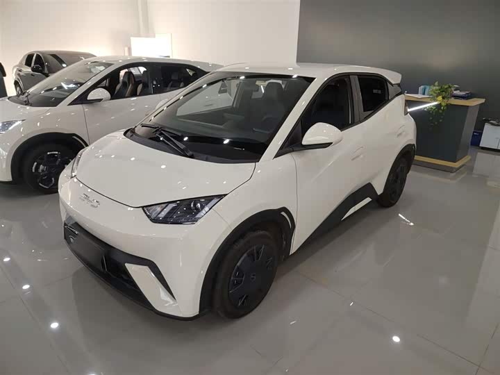 Фото 1 - BYD Seagull