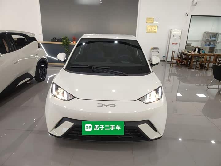 Фото 3 - BYD Seagull