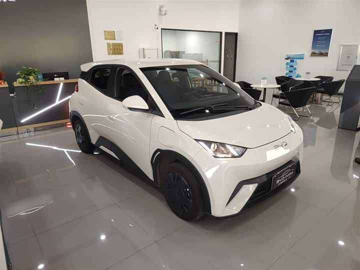 Фото 4 - BYD Seagull