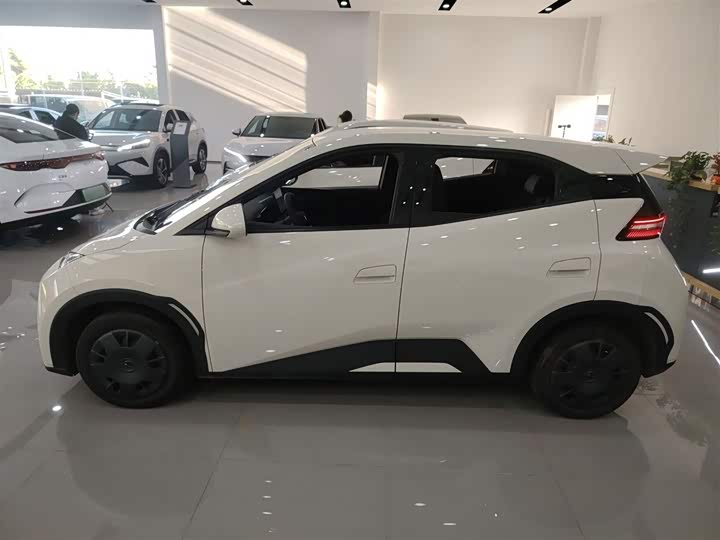 Фото 5 - BYD Seagull