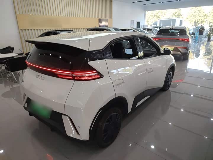 Фото 7 - BYD Seagull