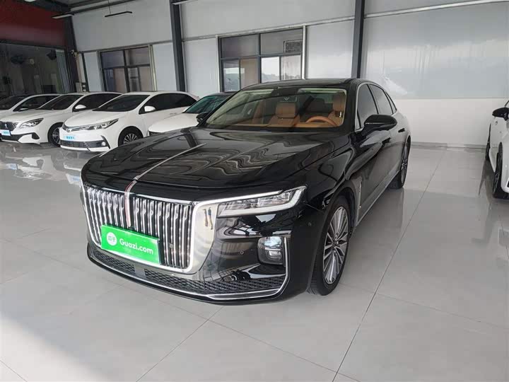 Фото 1 - Hongqi H9