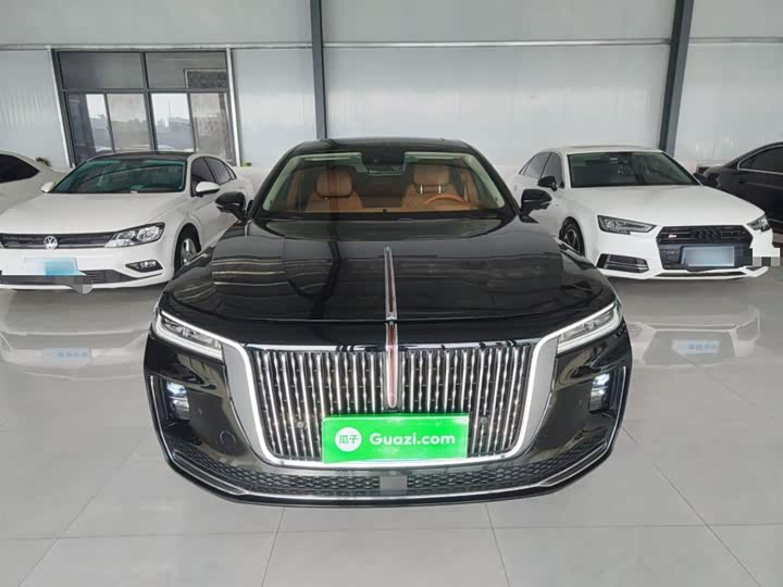 Фото 3 - Hongqi H9