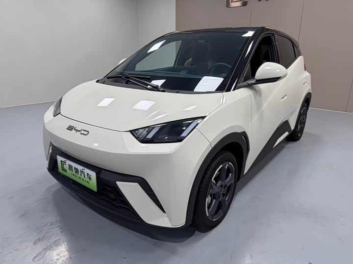 Фото 1 - BYD Seagull