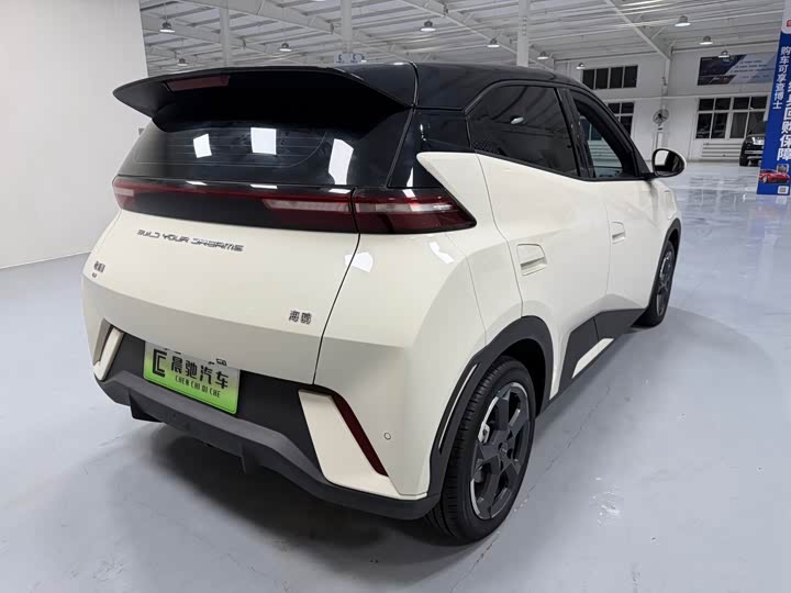 Фото 4 - BYD Seagull