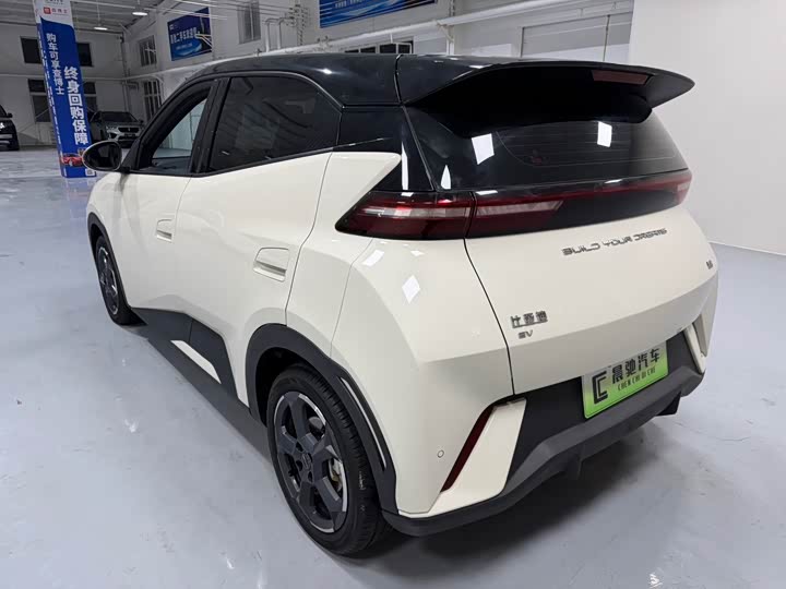 Фото 6 - BYD Seagull