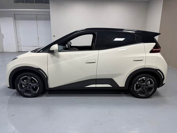 Фото 7 - BYD Seagull