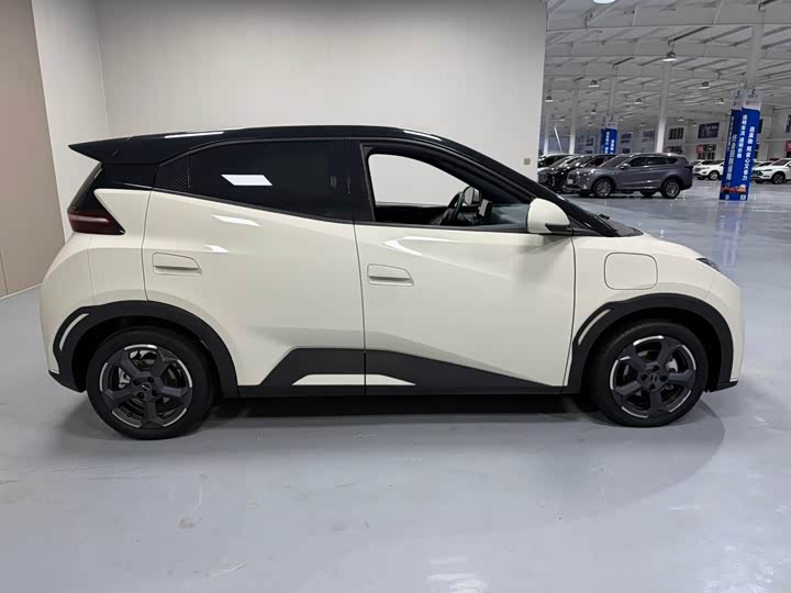 Фото 8 - BYD Seagull