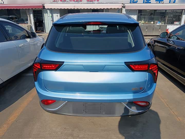 Фото 6 - Hozon V