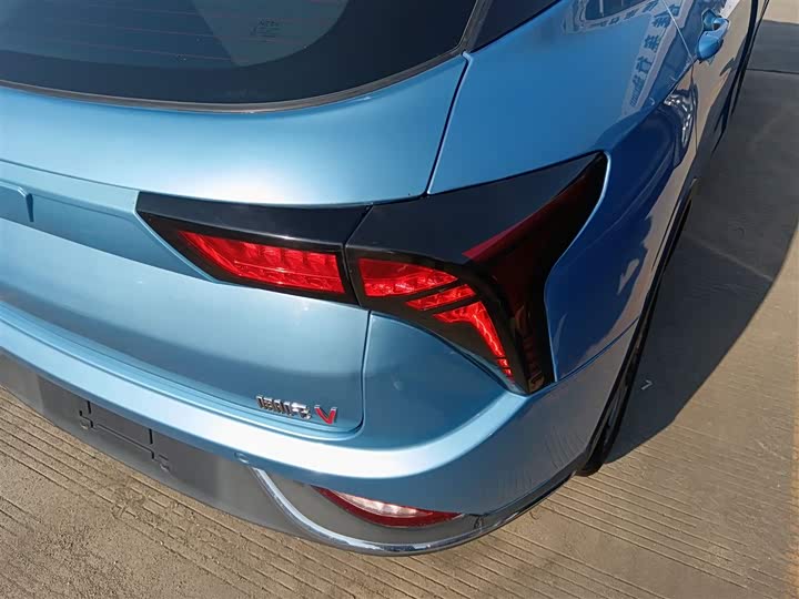 Фото 8 - Hozon V