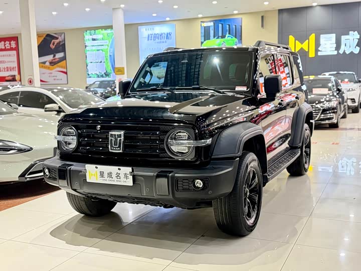 Фото 1 - Tank 300