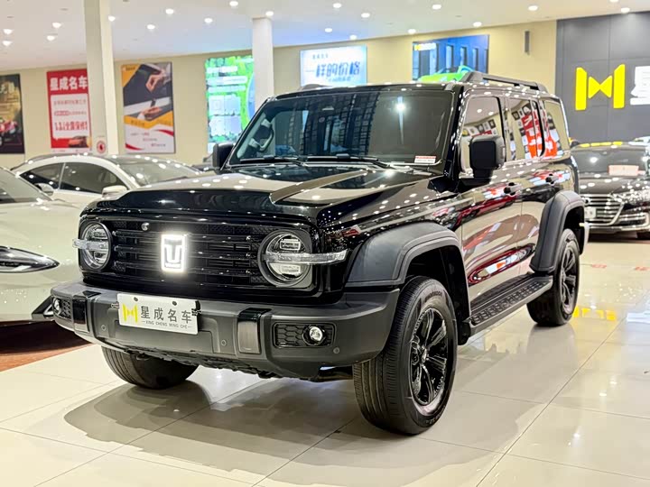 Фото 2 - Tank 300