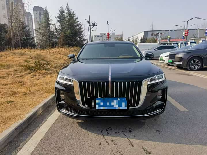 Фото 3 - Hongqi H9