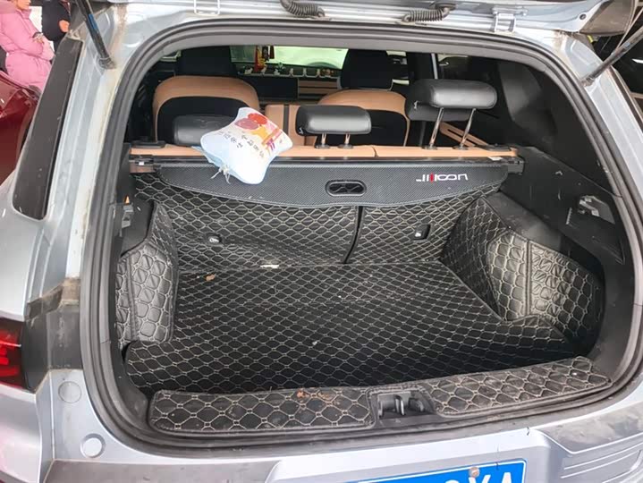 Фото 4 - Geely Icon