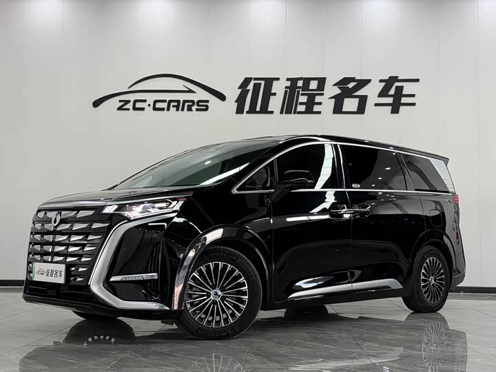 Фото 1 - Denza D9