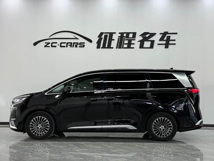 Фото 3 - Denza D9