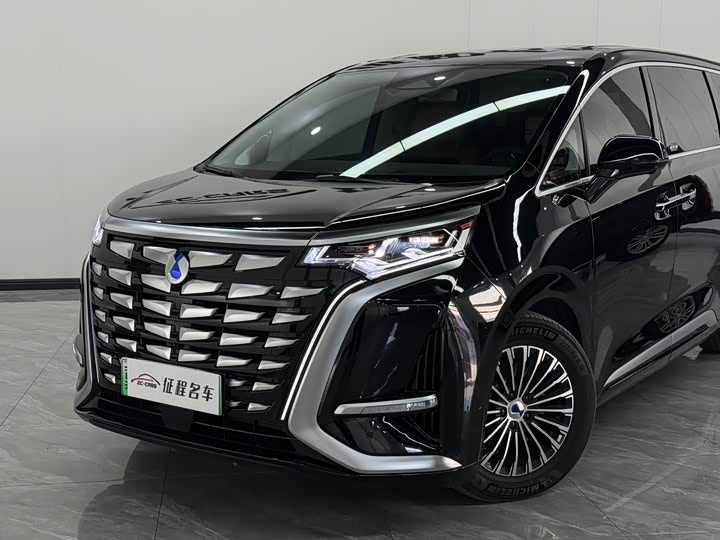 Фото 6 - Denza D9