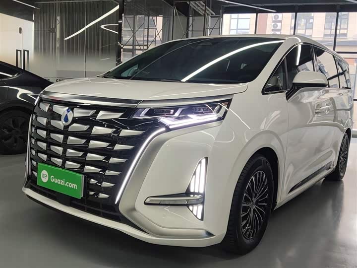 Фото 2 - Denza D9