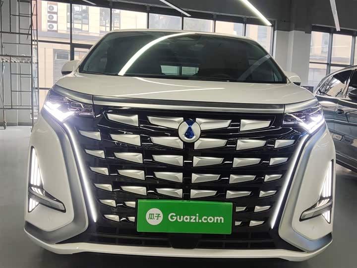 Фото 3 - Denza D9