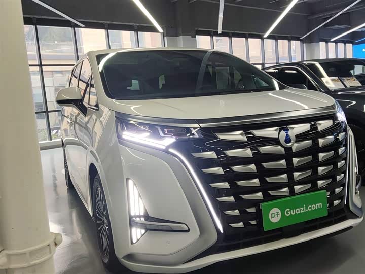 Фото 4 - Denza D9