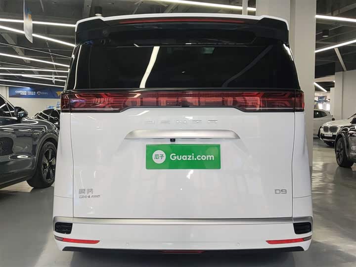 Фото 6 - Denza D9