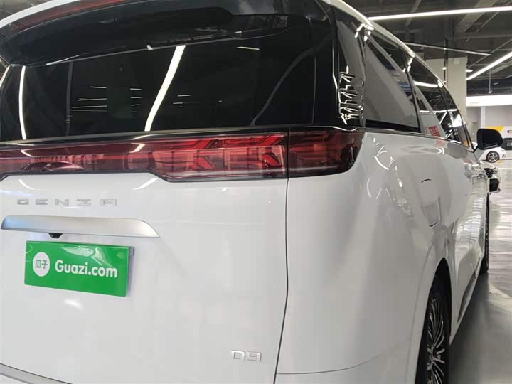 Фото 8 - Denza D9