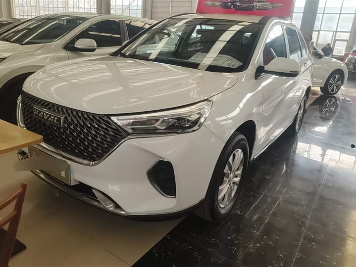 Фото 1 - Haval M6