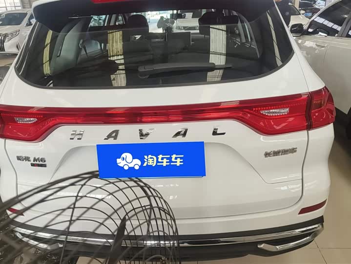 Фото 4 - Haval M6