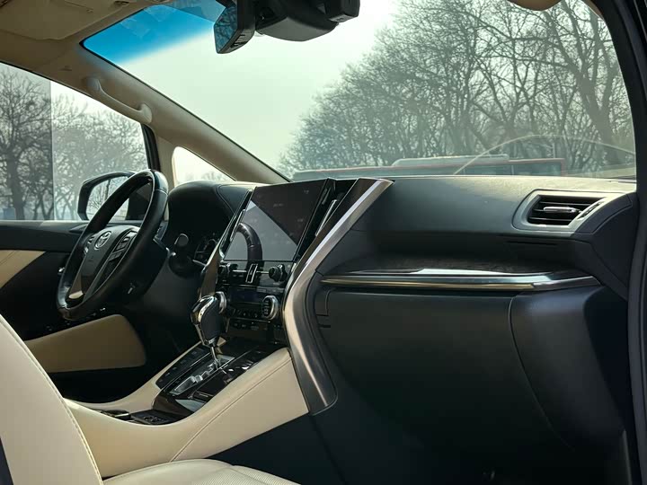 Фото 6 - Toyota Alphard