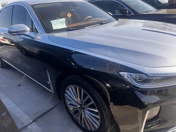 Фото 3 - Hongqi H9