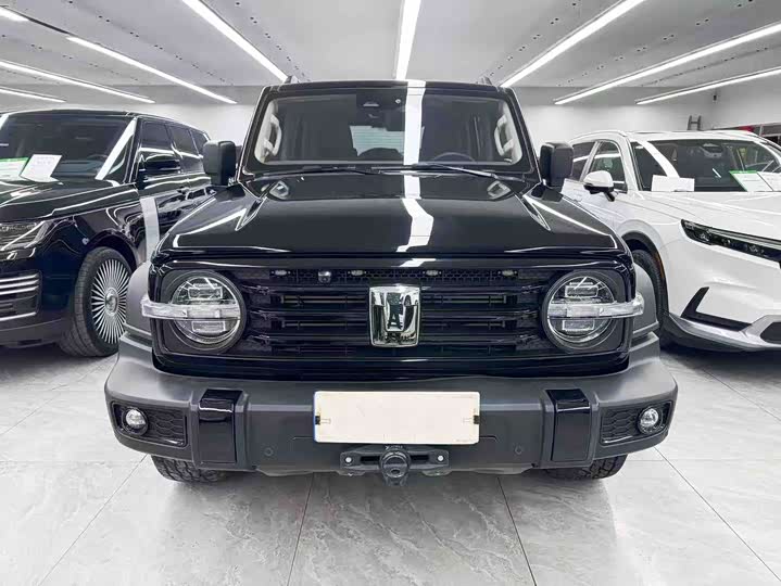 Фото 2 - Tank 300