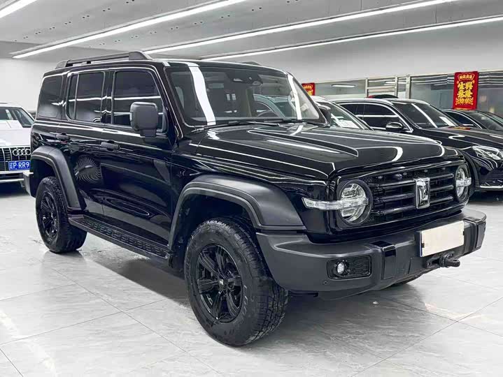 Фото 3 - Tank 300