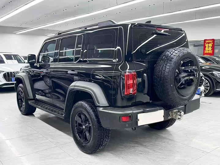 Фото 4 - Tank 300