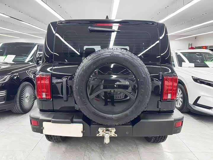 Фото 5 - Tank 300