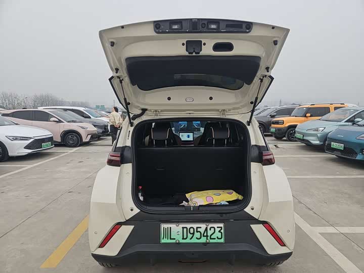 Фото 6 - BYD Seagull