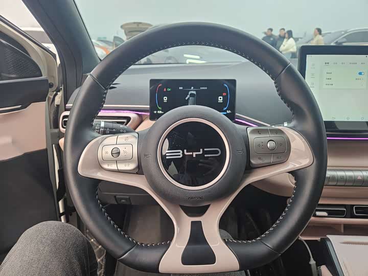 Фото 8 - BYD Seagull