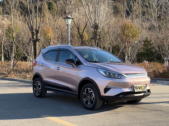 Фото 3 - BYD Yuan Pro