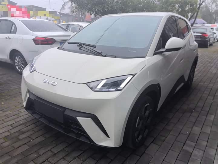 Фото 1 - BYD Seagull