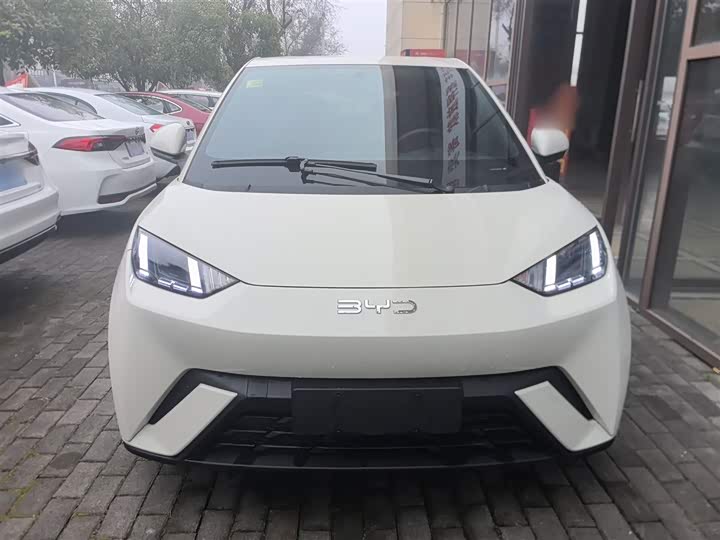 Фото 3 - BYD Seagull